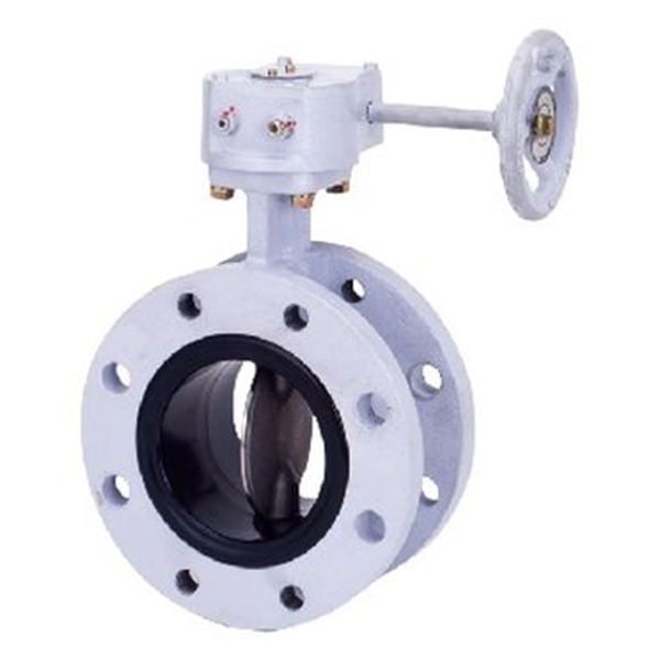 KITZ開滋閥門、日本進口閥門G-10DJU-65A