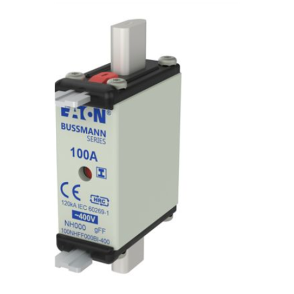 EATON伊頓刀片、玻璃管式斷路器和二極管CB185-110