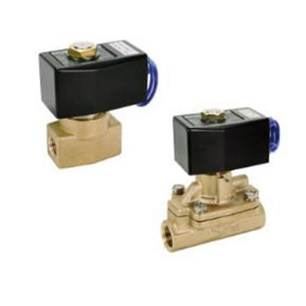 CKD喜開理先導突跳式2通電磁閥流體閥AD22-50F-03A-AC100V